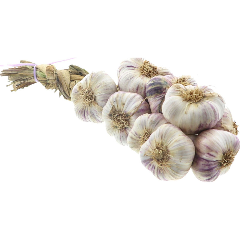 AIL VIOLET TRESSE 6X1KG